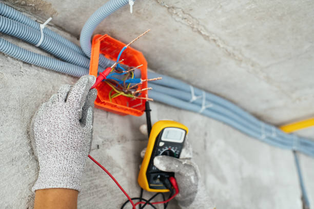 Best Ceiling Fan Installation Electrician  in Capitan, NM